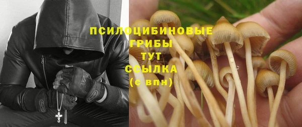 MESCALINE Елабуга