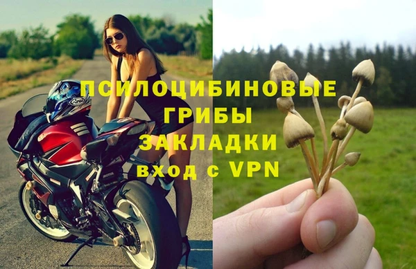 прущая мука Осташков