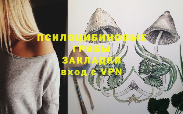 MESCALINE Елабуга