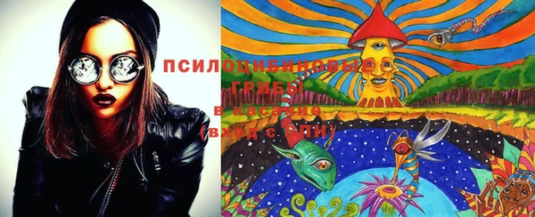 синтетический гашиш Ельня