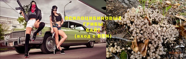MESCALINE Елабуга