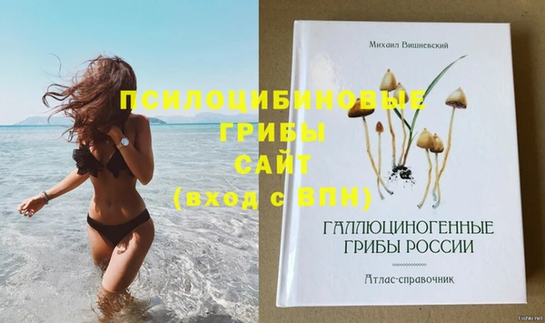 синтетический гашиш Ельня