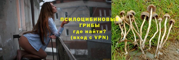 MESCALINE Елабуга